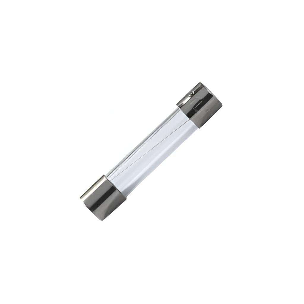 FTGL10A250V Fusible de Cristal lento 10A 250V 6x32mm